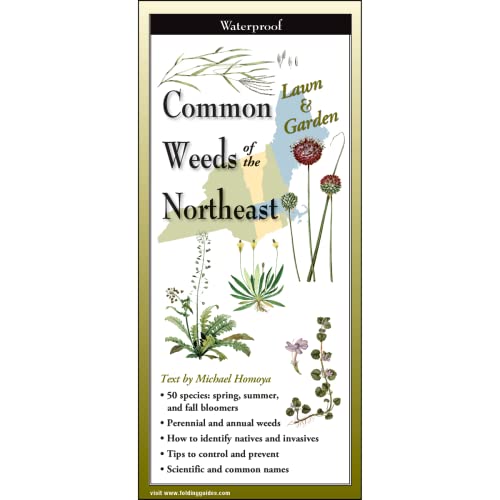 Common Weeds of the Northeast (Foldingguides(tm))