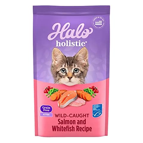 Halo Holistic Kitten Food Salmon Recipe Cover