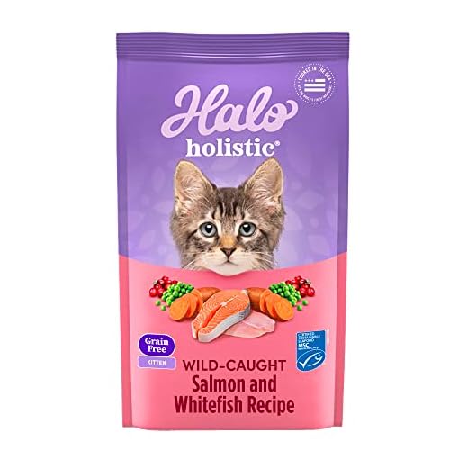 Halo Holistic Kitten Food Dry, Grain Free Wild-caught Salmon and Whitefish Recipe, Complete Digestive Health, Dry Cat Food Bag, Kitten Formula, 6-lb Bag