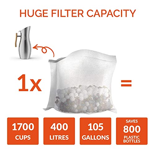 Ph Vitality Stainless Steel Alkaline Water Pitcher - Alkaline Water Filter Pitcher Plus One Ph Conscious 450Ml Beige Wheat Straw Alkaline Water Bottle Bundle #TOP2