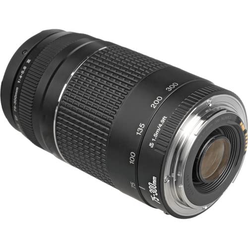 Amazon.com : Canon EF 75-300mm f/4-5.6 III Lens | Compact