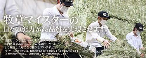 【令和7年度産新刈り】牧草市場 スーパープレミアム チモシー 1番刈り 牧草 500g(うさぎ・モルモットなどの牧草) - 4