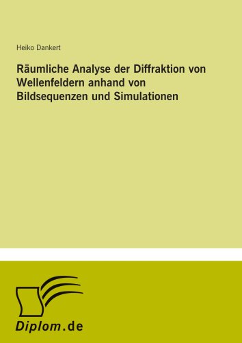 Räumliche Analyse der Diffraktion von Wellenfeldern anhand von Bildsequenzen und Simulationen