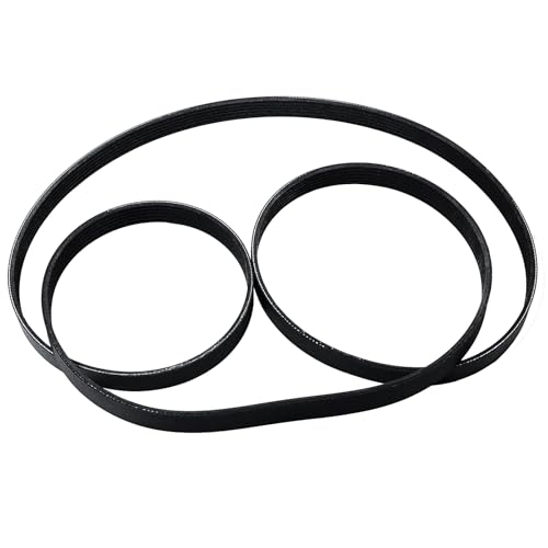 Cheyia Serpentine Belt