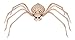 Crazy Bonez Skeleton Spider
