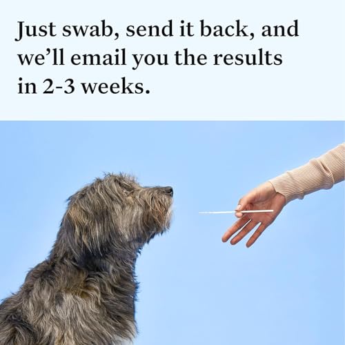 wisdom health essential dog dna kit  most accurate test  365 breeds  30 genetic health conditions  50 traits relatives ancestry  pack of 1