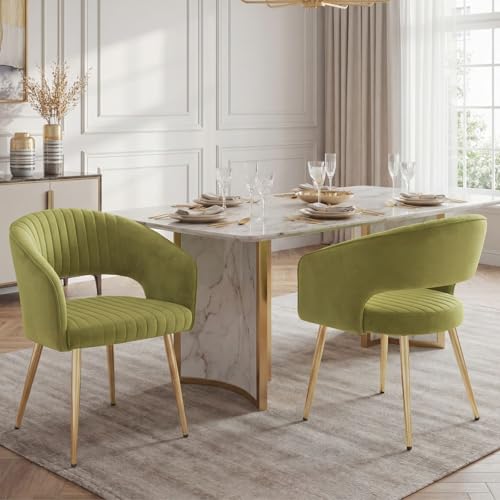Hyfirm Green Velvet and Gold Dining Chairs, Set of 2 Modern Upholstered Arm Chairs with Hollow Backrest, Tufted Accent Side Chair with Sturdy Metal Legs for Dining Room, Living Room, Kitchen