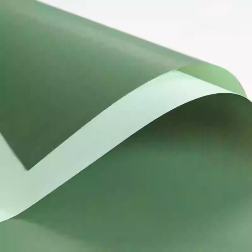 BBJ WRAPS Double Color Flower Wrapping Paper Waterproof Florist Bouquet Packaging Wraps 20 Sheets 23.6x23.6 Inch (Green)