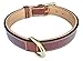 Soft Touch Collars Padded Leather Dog Collar, Brown Medium, Genuine Real Leather, Great for Male or Female Dogs, 20