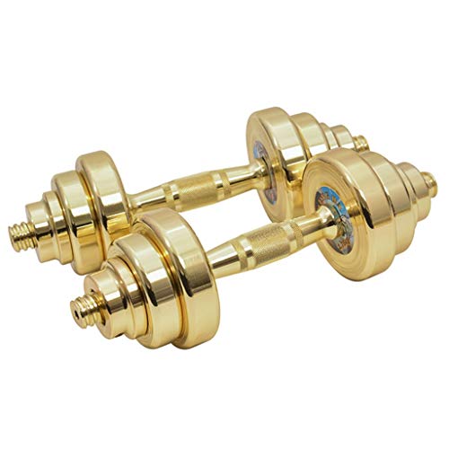Gold Fitness - Juego de mancuernas con caja de almacenamiento, peso ajustable, mancuernas, equipo de gimnasio en casa para hombre/mujer, equipo de fitness (tamaño: 20 kg)) (25 kg))