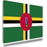 TRIOSK Kühlschrankmagnete Länderflaggen Magnet Flagge Dominica Länder Reise Souvenir Geschenk für Reiselustige Frauen Männer Weltenbummler Kühlschrank stark eckig groß 85x55 mm