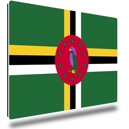 TRIOSK Kühlschrankmagnete Länderflaggen Magnet Flagge Dominica Länder Reise Souvenir Geschenk für Reiselustige Frauen Männer Weltenbummler Kühlschrank stark eckig groß 85x55 mm