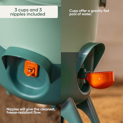 Image of Omlet Insulated Chicken Waterer, 1.5 Gallon | Stay-Clean Automatic Water Dispenser for Chickens | BPA-Free | Anti-Roost Domed Lid | Includes 3 Cups & Nipples | Eglu Green