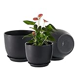 FIASON 10/9/8 inch Black Plant Pots, Plastic Flower Pots with Drainage Holes and Saucers, A Set of 3