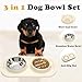 Slow Feeder Bowl Set for Cat and Dog/Non Slip Silicone Pet Bowls/Non Spill Food Mat with Stainless Steel Bowl