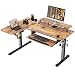 Produktbild EUREKA ERGONOMIC Höhenverstellbarer Schreibtisch 155×110cm Schreibtisch Höhenverstellbar Elektrisch Großer Gaming Tisch L-Form Doppelmotor Rechts Eck Tisch mit Kabelmanagement und Memory Funktion