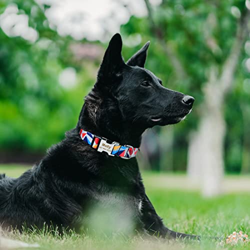 Collier de chien personnalisé gravé contre les pertes de médailles - 7