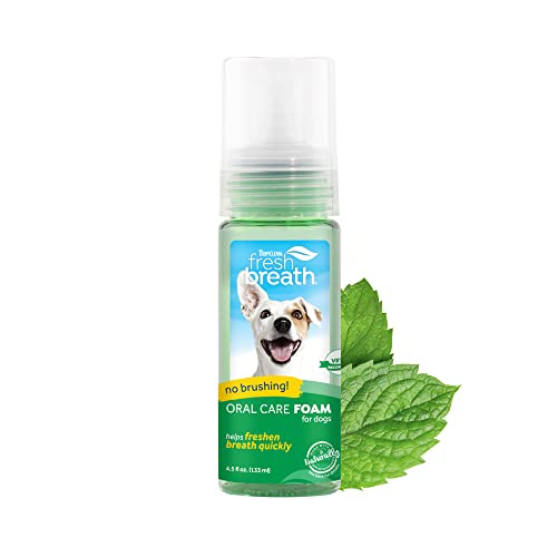 Best Dental Sprays For Bulldogs Just HEALTHIER Bullies!