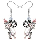 WEVENI Acrylic Easter Bunny Rabbit Earrings Hare Dangle Drop Pet Jewelry For Women Charm Gift (Cloud)