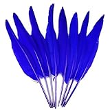 Utilisations : peut être utilisé pour le bricolage, ou comme décoration pour les vêtements, les mariages, les meubles et même les emballages cadeaux, il peut également être utilisé comme flèche plume/plume.