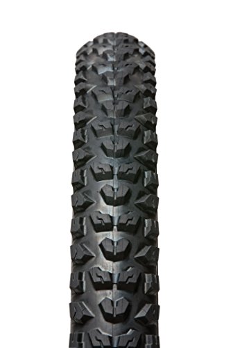 Panaracer Swoop Tire with Folding Bead, 26 x 2.1-Inch