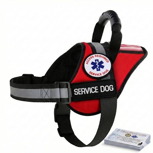 ALL ACCESS CANINE Service Dog Therapy Dog ESA Support Animal Harness - No Pull Reflective Vest - ID Pocket Handle - Waterproof Adjustable Mesh - Includes 10 Info Cards
