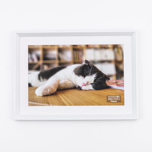 ナカバヤシ 木製写真額 ワイド六ッ切判 ホワイト F-SW-120-W