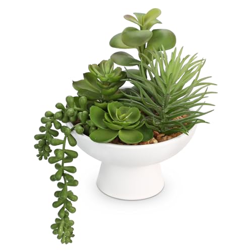 8.7” Small Succulents Cacti Plants Artificial in Ceramic Pots Potted Faux Succulent Arrangement with High Bowl Planter Fake Desk Succulents Cactus Plants for Home Bathroom Shelf Table Indoor Decor