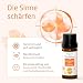 Murnauers Bachblüten Konzentrier Dich Globulini 3 x 10 g | Achtsamkeit und Inspiration| Mit Original Bachblüten nach Edward Bach aus England|Hergestellt in Deuschland