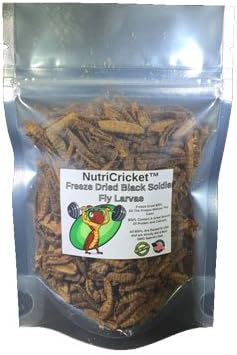 NutriCricket Freeze Dried Black Soldier Fly Larvae