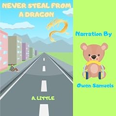 Couverture de Never Steal from a Dragon