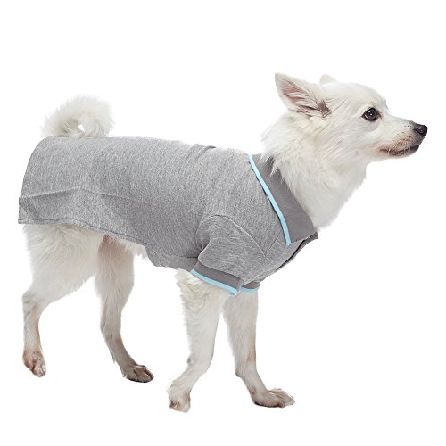 Blueberry Pet Pack Of 2 Back To Basic Cotton Blend Dog Polo Shirts In Sky Blue And Light Grey, Back Length 16", Clothes For Dogs #TOP4