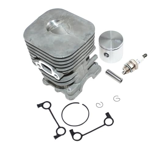 Kit Cylindre-Piston PoulanPro Réparer Perte Compression PP28PDT