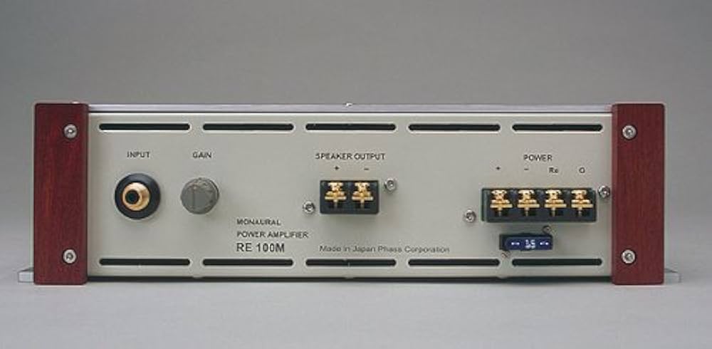 Amazon.co.jp: PHASS ファス RE100M モノラルアンプ : 車＆バイク
