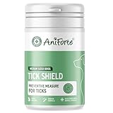 AniForte