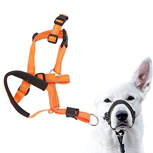 Hundekopfkragen mit Sicherheitsriemen Verstellbarer Kopfhalter für Hunde Anti -Zieh -Mundabdeckung Ganter Anführer für Außenspaziergänge verhindert beißen und ziehen für (Orange)