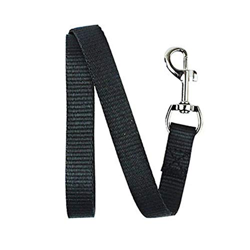 120 * 1.5cm Nylon Animaux Leads Chat Petit Chien Leash De Conception De Base Chiot De Formation Leash Noir Rouge Vert Bleu Violet Rose #10221 (Color : Black, Size : 120x1.5cm) Cover