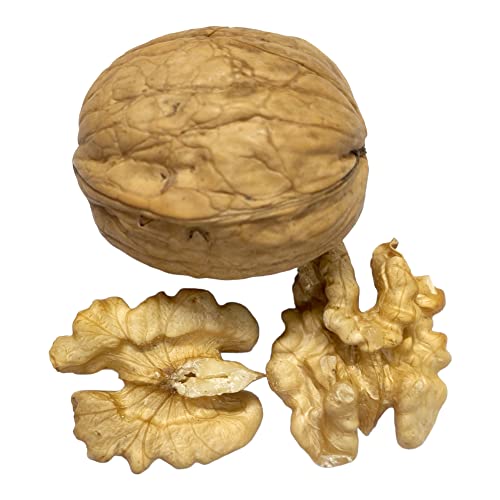 Image of Dry Fruit Hub Chilean Akrot Walnut Kernels (Akhrot Giri), 500gm | Grade-1 Fresh And Natural | Healthy Snacks | No Additives | Gluten Free | Vegan | Non GMO | Walnuts Without Shell