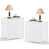 SageNest Nightstand Set of 2, Small 2 Drawer Dresser