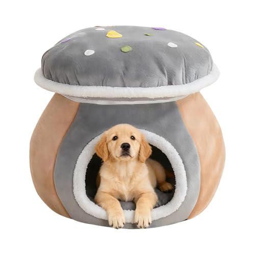 킢Lxbh - ~̒gplXg O\}bgt | pLnEX - q   rO[ Q oRj[ Ap[gp