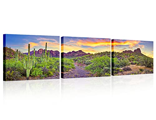TUMOVO 3 Piece Cactus Landscape Canvas Wall Art Colorful Sunrise with Saguaros Wall Decorations for Living Room North American Sonoran Desert Wall Painting Framed Ready to Hang 12x16 inch x3