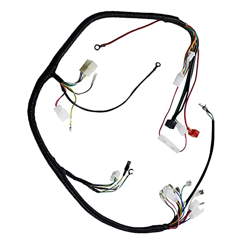 Dibanyou Complete Electrics 4 Stroke Atv Quad 150 200 250 300Cc Wiring Harness Cdi 8 Coil Stator Tail Light Zongshen Lifan, Black #TOP2