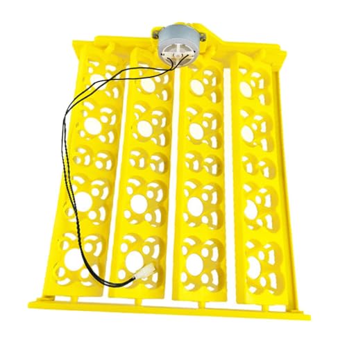 Incubadora automática de huevos eficiente con volteadora automática ligera para aves de corral