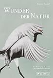 Wunder der Natur: Eine Hommage an die letzten Tiere und Pflanzen ihrer Art. Mit 150 exquisiten Illustrationen - Beatrice Forshall 
