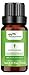Bio Zitronengras ätherisches Öl, USDA zertifizierte organische natürliche Öle für Aromatherapie, 100% reine unverdünnte Premium Therapeutic Grade, Diffuser, Haut und Haar, Lindert wunde Muskeln, 10ml