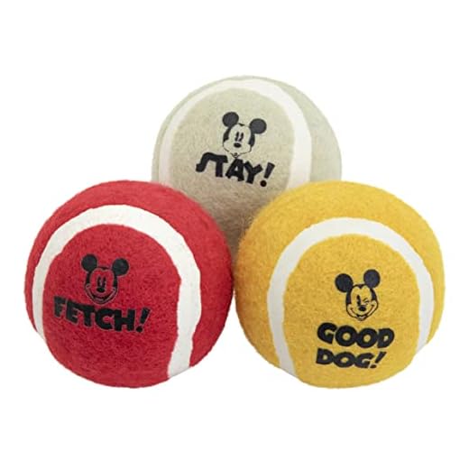Harry Barker Disney Multi-Colored Play Ball Set Mickey