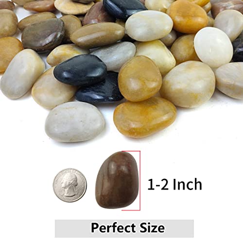 5lbs Pebbles for Indoor Plants, 1-2 Inch Mixed Color High Polished River Rocks Outdoor Decorative Stones Vase Filler Fish Tank Aquariums Landscaping Garden Outdoor and Indoor DIY