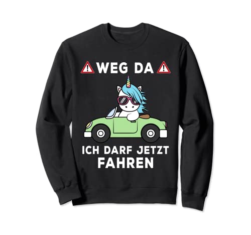 Pasa da Darf Fahrenheit Unicornio licencia de conducir. Sudadera