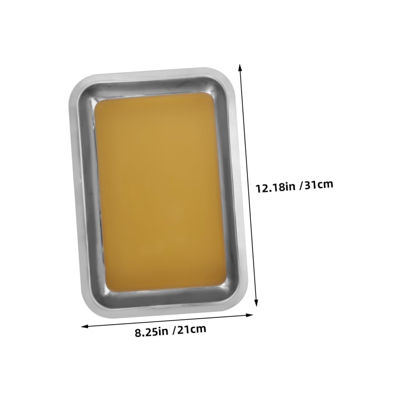 2 Stück Edelstahl Präparierschale mit Wachsauskleidung 31x21 cm rutschfeste Oberfläche und Kratzfester Boden für Biologieunterricht und Medizinische Experimente