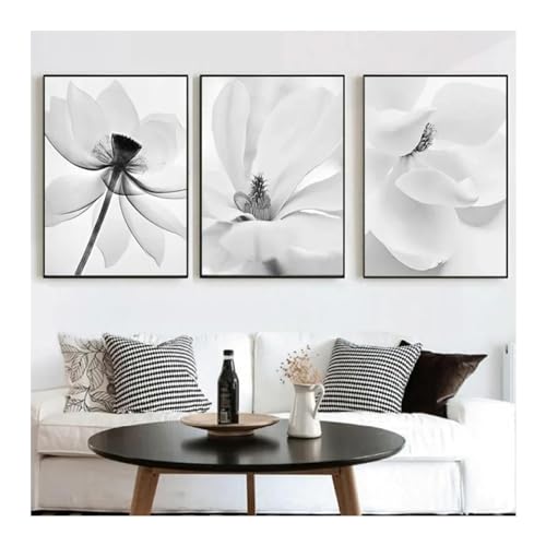 Affiches d'art de fleurs noir et blanc déco murale salon moderne 60x80cm